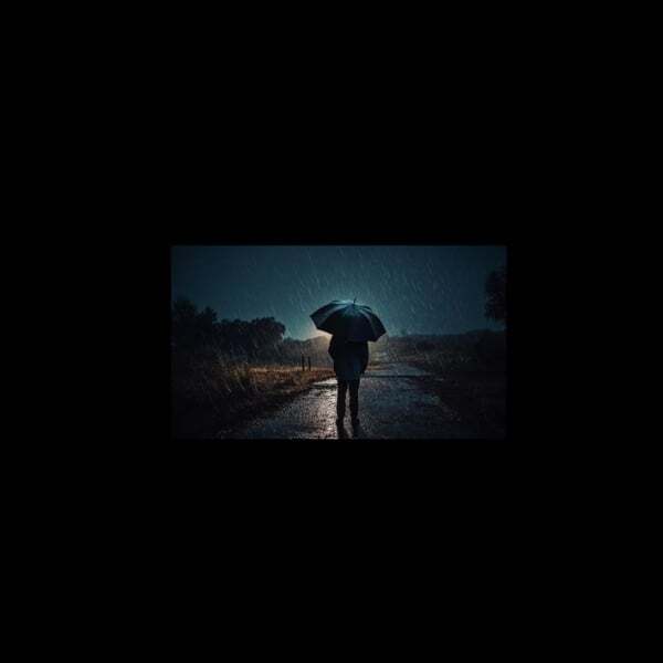 Cover art for Through the Rain